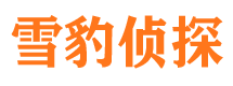 新民雪豹私家侦探公司